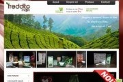 Ceai verde