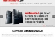 Servicii IT Bucuresti