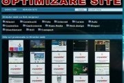 Dirctor web - Optimizare site