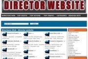 Director web seo