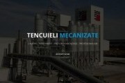 Tencuieli mecanizate-Bucuresti