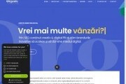 ORGANIC AGENTIE SEO