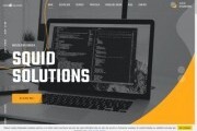 Squid Solutions - Web Design Oradea, Software development, CRM, ERP